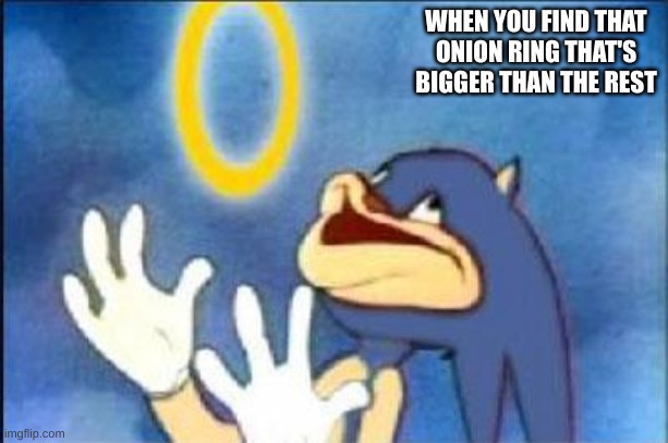 TIME TO EAT IT | WHEN YOU FIND THAT ONION RING THAT'S BIGGER THAN THE REST | image tagged in sonic derp | made w/ Imgflip meme maker