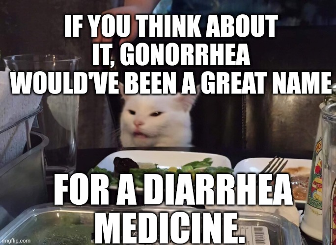IF YOU THINK ABOUT IT, GONORRHEA WOULD'VE BEEN A GREAT NAME; FOR A DIARRHEA MEDICINE. | image tagged in smudge the cat | made w/ Imgflip meme maker