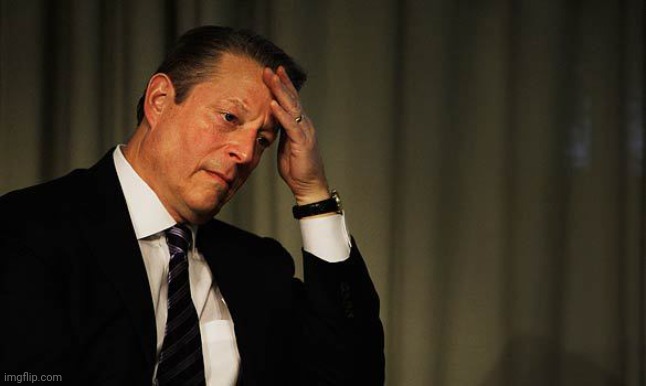 Al Gore Facepalm | image tagged in al gore facepalm | made w/ Imgflip meme maker