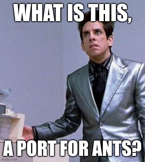 zoolander ants | WHAT IS THIS, A PORT FOR ANTS? | image tagged in zoolander ants | made w/ Imgflip meme maker