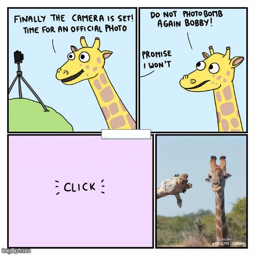 Photobomb | image tagged in comics | made w/ Imgflip meme maker