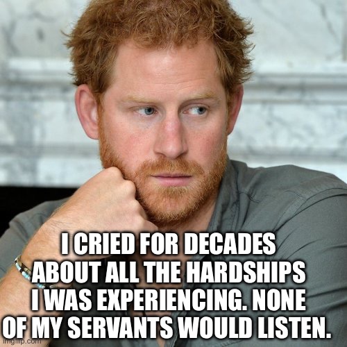 Poor baby | I CRIED FOR DECADES ABOUT ALL THE HARDSHIPS I WAS EXPERIENCING. NONE OF MY SERVANTS WOULD LISTEN. | image tagged in prince harry | made w/ Imgflip meme maker