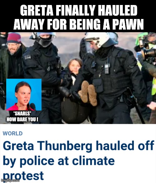 Nut job at large | GRETA FINALLY HAULED AWAY FOR BEING A PAWN; *SNARLS*
HOW DARE YOU ! | image tagged in liberals,activism,leftists,democrats,greta thunberg how dare you | made w/ Imgflip meme maker