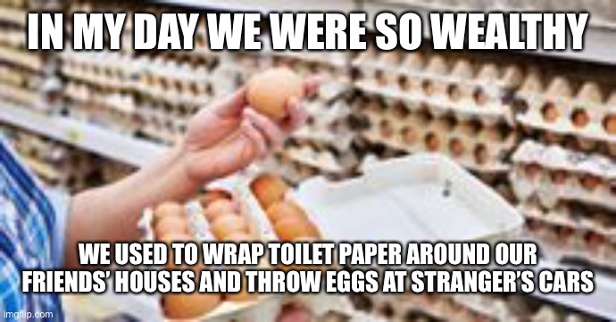 So wealthy we egged and TP’d | IN MY DAY WE WERE SO WEALTHY; WE USED TO WRAP TOILET PAPER AROUND OUR FRIENDS’ HOUSES AND THROW EGGS AT STRANGER’S CARS | image tagged in eggs,inflation,biden,toilet paper,recession,joe biden | made w/ Imgflip meme maker