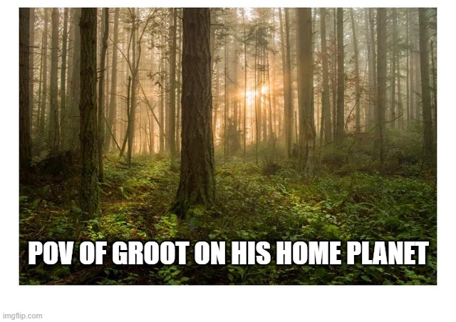 Trees | POV OF GROOT ON HIS HOME PLANET | image tagged in groot | made w/ Imgflip meme maker