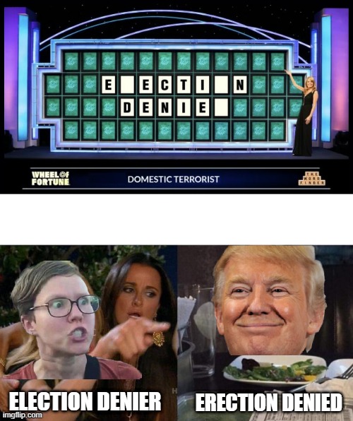 I'll Solve the Puzzle |  ERECTION DENIED; ELECTION DENIER | image tagged in memes,woman yelling at cat | made w/ Imgflip meme maker