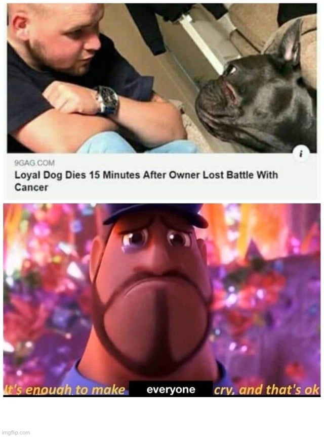 Wholesome ^^ | image tagged in memes,dogs,wholesome | made w/ Imgflip meme maker