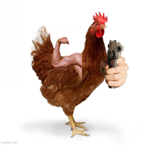 Chicken | image tagged in chicken | made w/ Imgflip meme maker