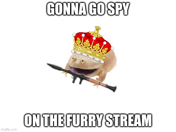 wish me luck | GONNA GO SPY; ON THE FURRY STREAM | image tagged in anti furry | made w/ Imgflip meme maker