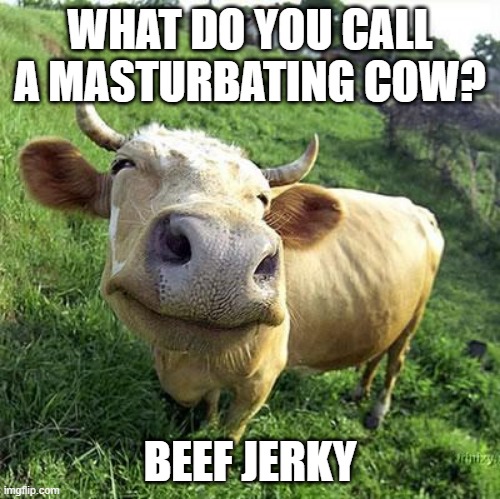 Meat Stroke | WHAT DO YOU CALL A MASTURBATING COW? BEEF JERKY | image tagged in cow | made w/ Imgflip meme maker