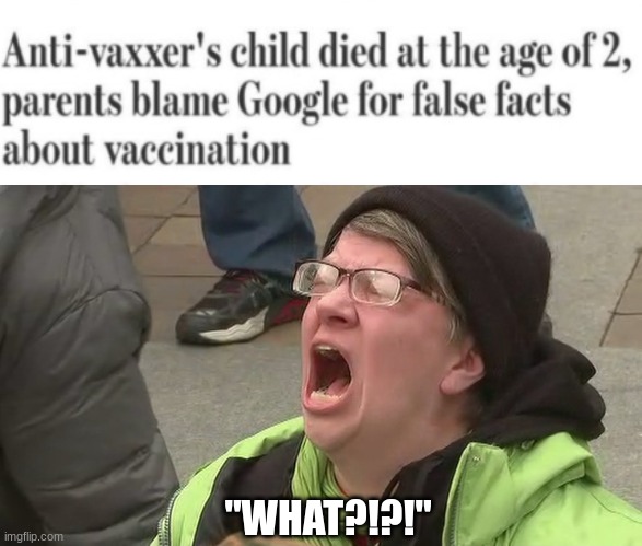 Found this in another stream | "WHAT?!?!" | image tagged in noooo | made w/ Imgflip meme maker