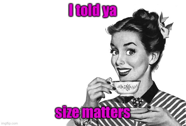1950s Housewife | I told ya size matters | image tagged in 1950s housewife | made w/ Imgflip meme maker