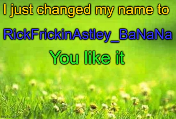I don't need upvotes NO UPVOTES comments are ok but NO UPVOTES | I just changed my name to; RickFrickinAstley_BaNaNa; You like it | image tagged in green background,shut up and take my money fry,new normal,rick from pawn stars,banana power,milk | made w/ Imgflip meme maker