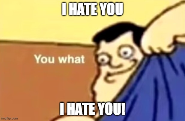 I hate no one guys | I HATE YOU; I HATE YOU! | image tagged in you what | made w/ Imgflip meme maker