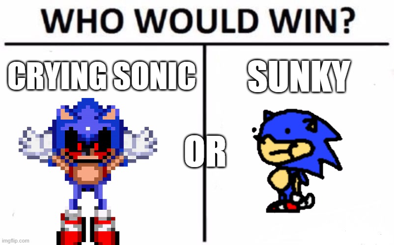 (sonic is not crying that is sonic.exe) sunky or sonic? | CRYING SONIC; SUNKY; OR | image tagged in memes,who would win | made w/ Imgflip meme maker