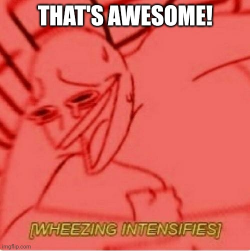 Wheeze | THAT'S AWESOME! | image tagged in wheeze | made w/ Imgflip meme maker