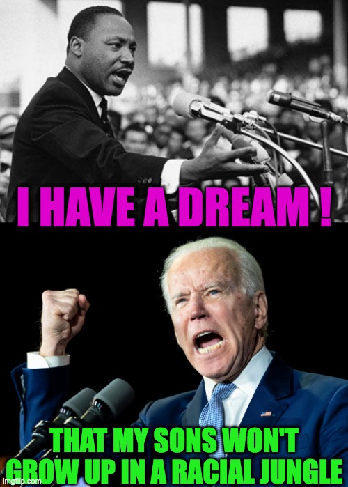 Just a reminder of the Racist in Chief FJB | I HAVE A DREAM ! THAT MY SONS WON'T GROW UP IN A RACIAL JUNGLE | image tagged in mlk,joe biden's fist | made w/ Imgflip meme maker