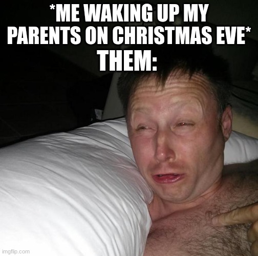 sorry im a bit late but merry christmas yall | *ME WAKING UP MY PARENTS ON CHRISTMAS EVE*; THEM: | image tagged in limmy waking up,christmas,parents | made w/ Imgflip meme maker