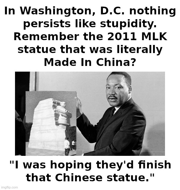 In Washington, D.C. Nothing Persists Like Stupidity | image tagged in washington dc,stupidity,martin luther king jr,statue,made in china | made w/ Imgflip meme maker
