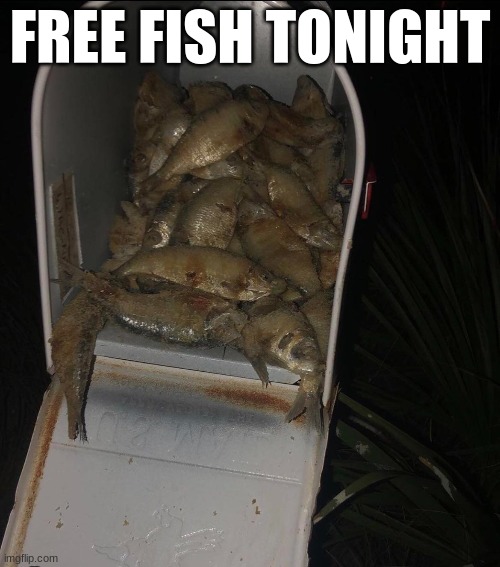 who sent fish | FREE FISH TONIGHT | image tagged in cursed image,fish | made w/ Imgflip meme maker