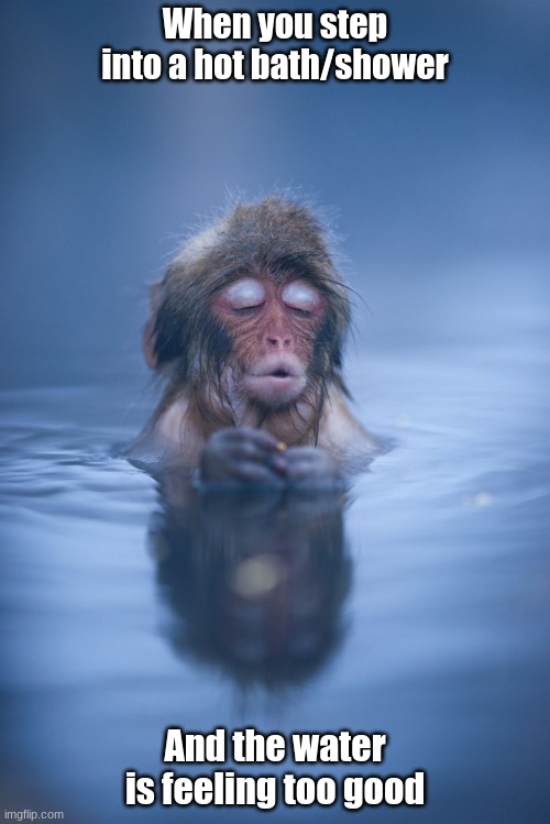 Hot showers/baths are wonderful! | When you step into a hot bath/shower; And the water is feeling too good | image tagged in relaxed monkey in hot springs | made w/ Imgflip meme maker