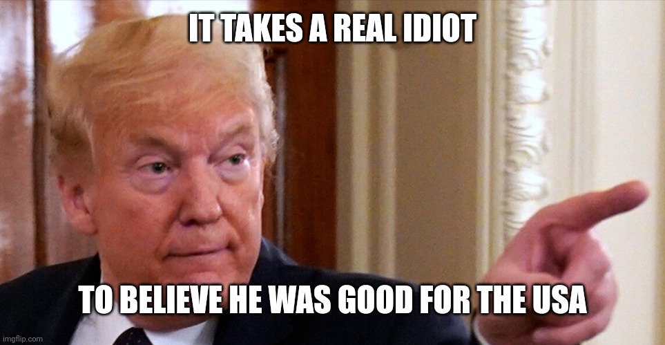 Trump pointing | IT TAKES A REAL IDIOT TO BELIEVE HE WAS GOOD FOR THE USA | image tagged in trump pointing | made w/ Imgflip meme maker