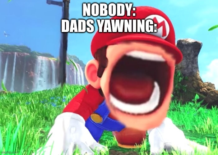 (Yawn) | NOBODY:
DADS YAWNING: | image tagged in mario screaming | made w/ Imgflip meme maker