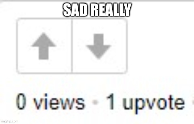 0 views 1 upvote | SAD REALLY | image tagged in 0 views 1 upvote | made w/ Imgflip meme maker