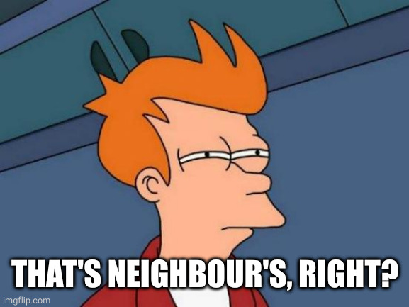 Futurama Fry Meme | THAT'S NEIGHBOUR'S, RIGHT? | image tagged in memes,futurama fry | made w/ Imgflip meme maker