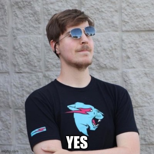 Mr. Beast | YES | image tagged in mr beast | made w/ Imgflip meme maker
