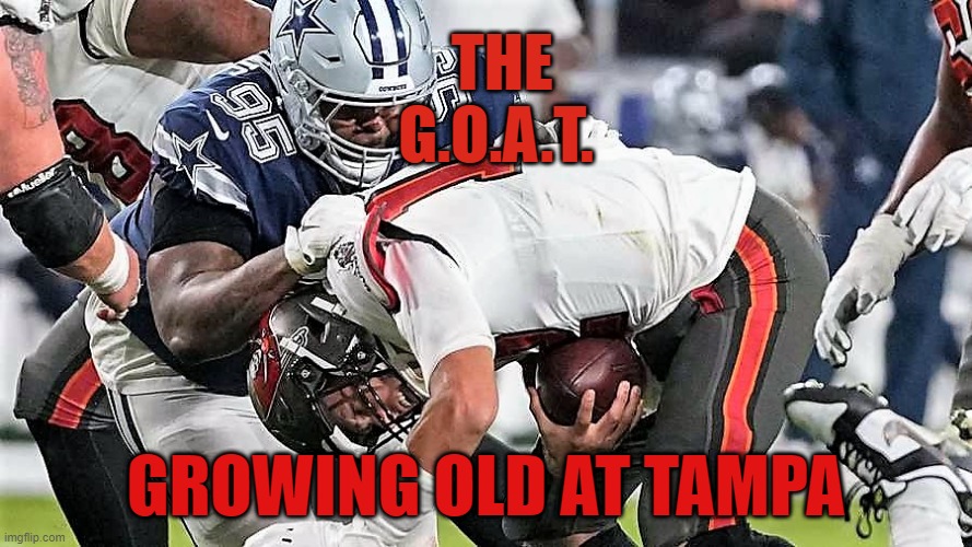 The Goat Brady | THE G.O.A.T. GROWING OLD AT TAMPA | image tagged in sports fans | made w/ Imgflip meme maker