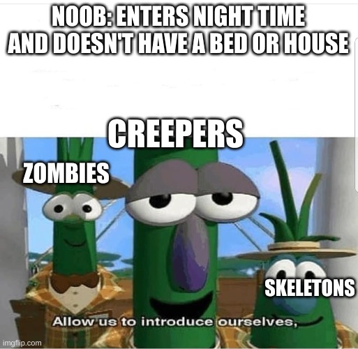 The First Night | NOOB: ENTERS NIGHT TIME AND DOESN'T HAVE A BED OR HOUSE; CREEPERS; ZOMBIES; SKELETONS | image tagged in allow us to introduce ourselves | made w/ Imgflip meme maker