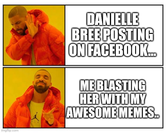 No - Yes | DANIELLE BREE POSTING ON FACEBOOK... ME BLASTING HER WITH MY AWESOME MEMES.. | image tagged in no - yes | made w/ Imgflip meme maker