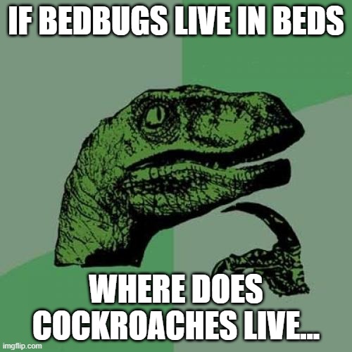 Philosoraptor | IF BEDBUGS LIVE IN BEDS; WHERE DOES COCKROACHES LIVE... | image tagged in memes,philosoraptor | made w/ Imgflip meme maker