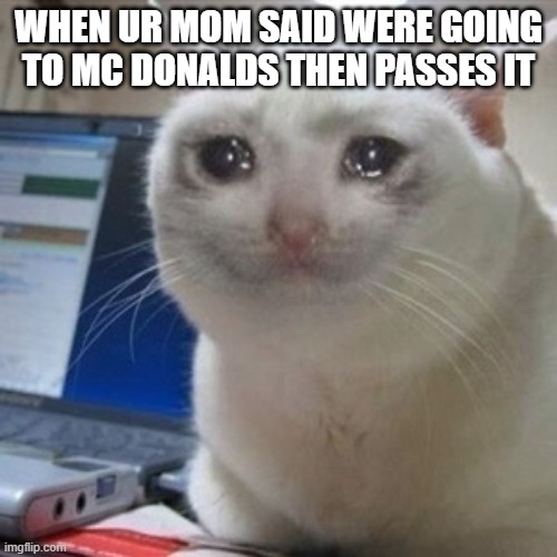 sad | WHEN UR MOM SAID WERE GOING TO MC DONALDS THEN PASSES IT | image tagged in crying cat | made w/ Imgflip meme maker