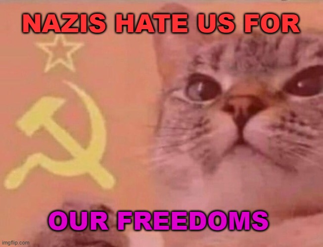 “They hate [us for] our freedoms” | NAZIS HATE US FOR; OUR FREEDOMS | image tagged in soviet cat | made w/ Imgflip meme maker