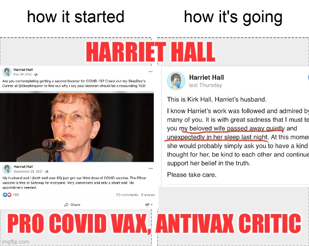 Harriet Hall: Pro COVID Vax, Anti Vax Critic Dies Suddenly | HARRIET HALL; PRO COVID VAX, ANTIVAX CRITIC | image tagged in diedsuddenly,graphenevaccine,plandemocide,clotshot,strokepoke,agenda2030 | made w/ Imgflip meme maker