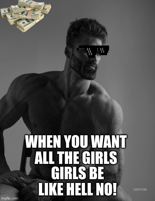 Giga Chad | WHEN YOU WANT ALL THE GIRLS; GIRLS BE LIKE HELL NO! | image tagged in giga chad | made w/ Imgflip meme maker