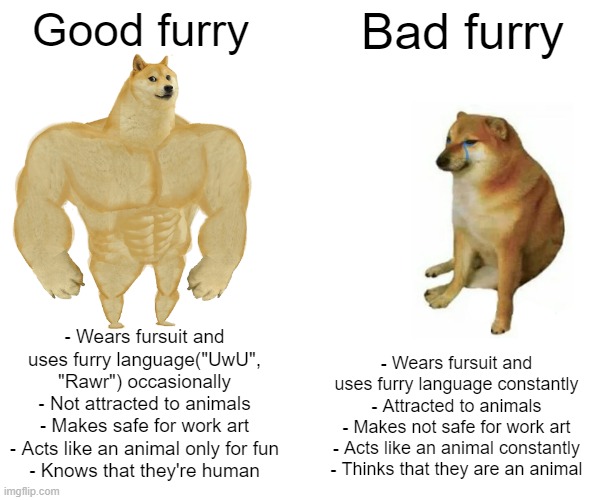 know your furries - Imgflip