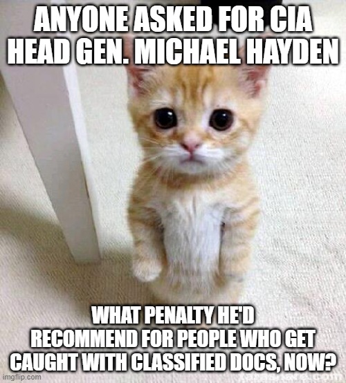 purrfectly horrible tweet last august | ANYONE ASKED FOR CIA HEAD GEN. MICHAEL HAYDEN; WHAT PENALTY HE'D RECOMMEND FOR PEOPLE WHO GET CAUGHT WITH CLASSIFIED DOCS, NOW? | image tagged in memes,cute cat | made w/ Imgflip meme maker