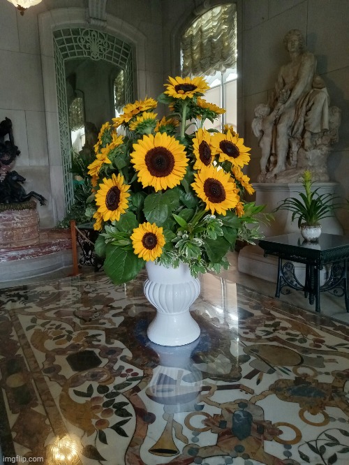 Sunflowers | image tagged in flowers | made w/ Imgflip meme maker