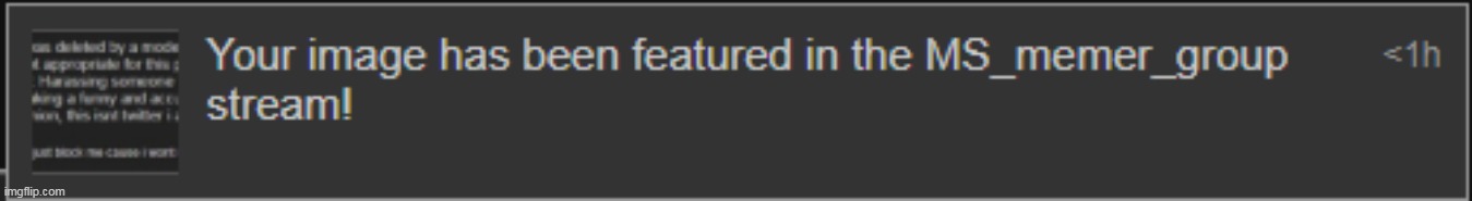 the prev image i posted should have NOT been accepted in my opinion | made w/ Imgflip meme maker