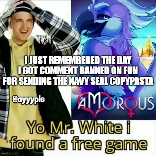 Yo Mr. White i found a free game | I JUST REMEMBERED THE DAY I GOT COMMENT BANNED ON FUN FOR SENDING THE NAVY SEAL COPYPASTA | image tagged in yo mr white i found a free game | made w/ Imgflip meme maker