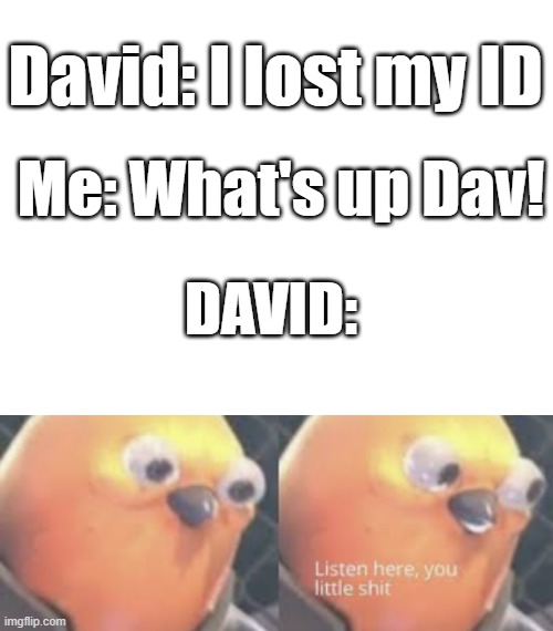 David: I lost my ID; Me: What's up Dav! DAVID: | image tagged in listen here you little shit bird | made w/ Imgflip meme maker