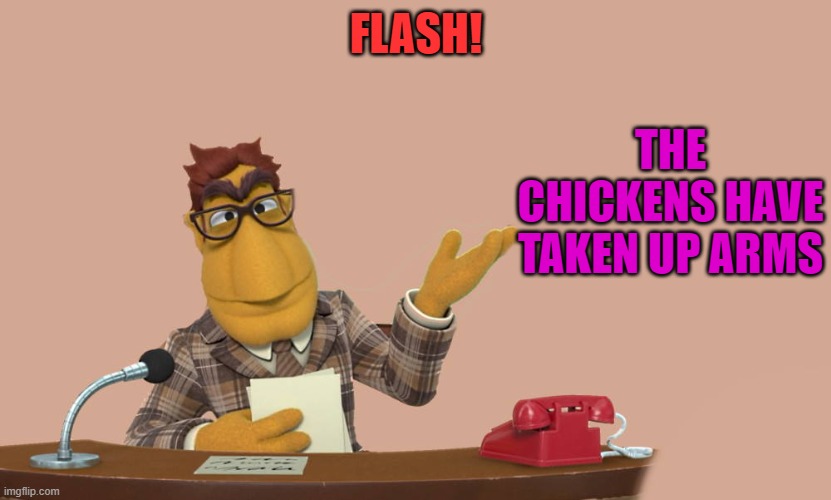 FLASH! THE CHICKENS HAVE TAKEN UP ARMS | image tagged in news | made w/ Imgflip meme maker