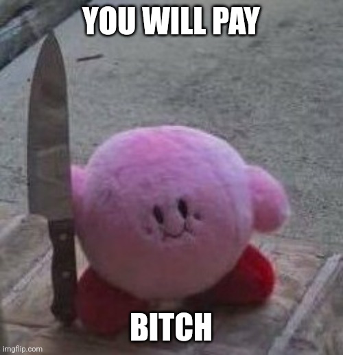 creepy kirby | YOU WILL PAY; BITCH | image tagged in creepy kirby | made w/ Imgflip meme maker