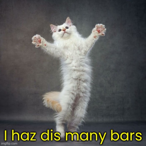 I haz dis many bars | made w/ Imgflip meme maker