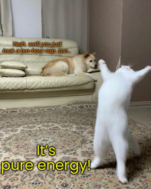 Yeah, we’ll you just took a ten-hour nap, soo…. It’s pure energy! | made w/ Imgflip meme maker