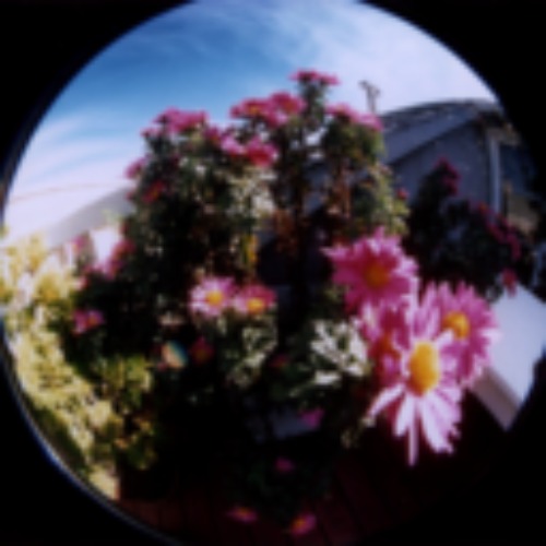 If you get it you get it | made w/ Imgflip meme maker