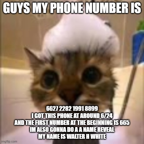 His dumbass is NOT taking a shower!!! | GUYS MY PHONE NUMBER IS; 6627 2282 1991 8899
I GOT THIS PHONE AT AROUND 6/24
AND THE FIRST NUMBER AT THE BEGINNING IS 665
IM ALSO GONNA DO A A NAME REVEAL
MY NAME IS WALTER H WHITE | image tagged in his dumbass is not taking a shower | made w/ Imgflip meme maker